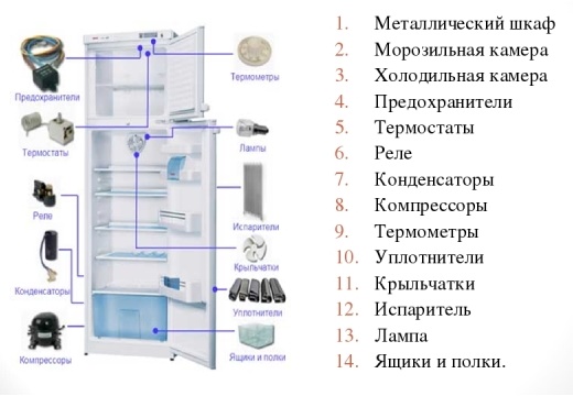 Как работает холодильник